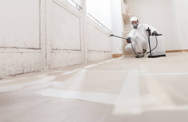 24/7 Emergency Mold Remediation experts in Harrisonburg, VA