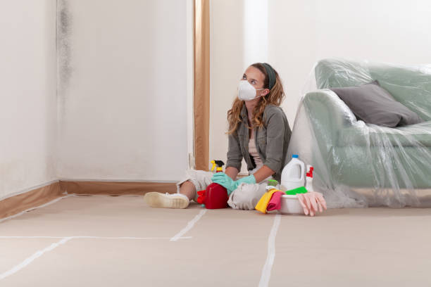 Reliable Mold Remediation contractor in Harrisonburg, VA by 24 Hour Mold Removal
